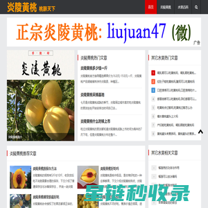 正宗炎陵黄桃基地直供-刘娟家果园
